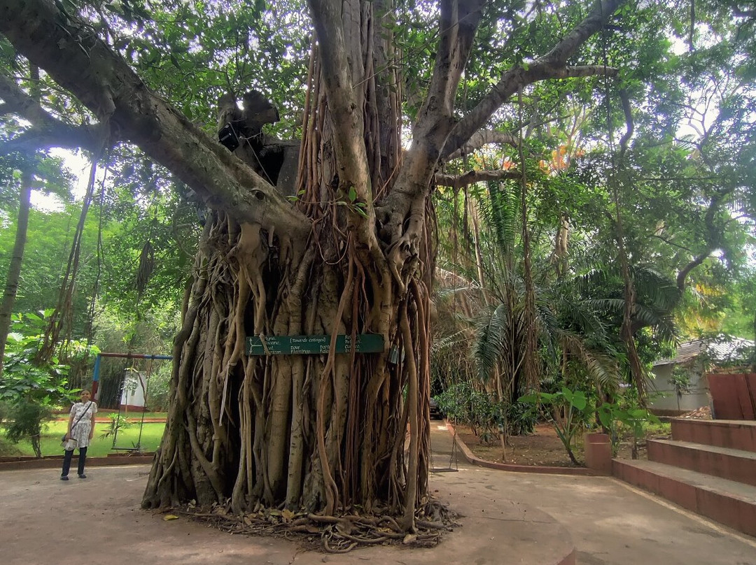 Talakadu Jaladhama Resorts主图
