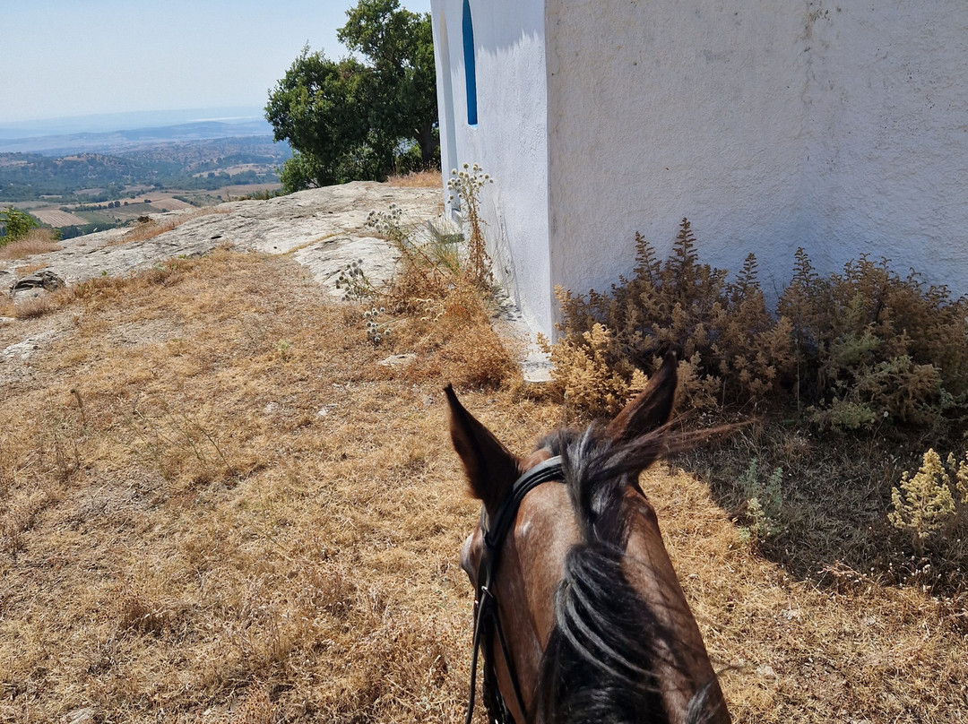 Ziogas Western City-Lefkochori必去景点