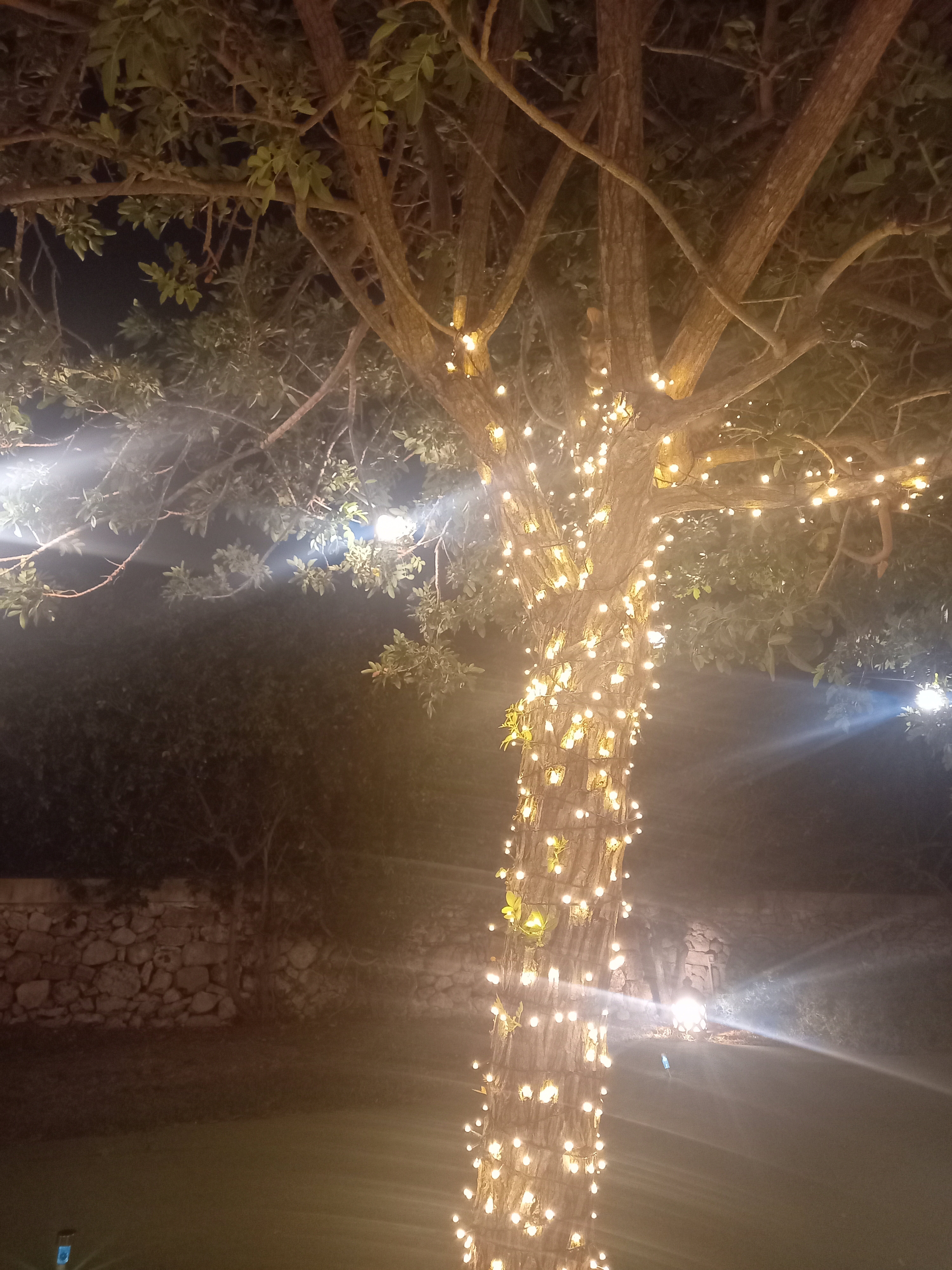 Masseria Vittoria-浴室