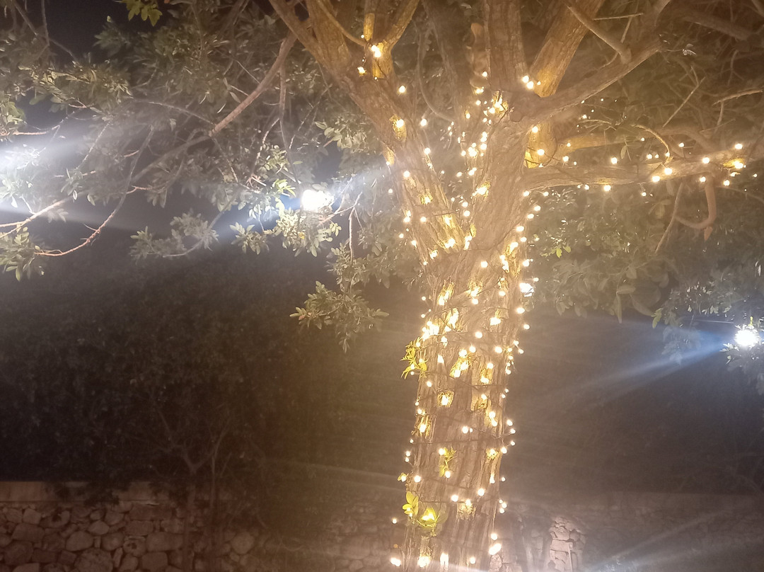 Masseria Vittoria主图