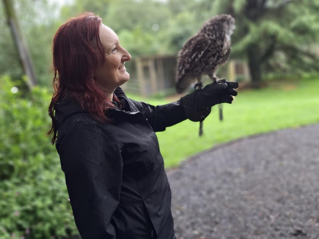 Cumberland Bird Of Prey Centre-卡莱尔必去景点