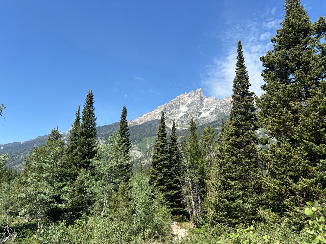 珍妮湖散步小径-大提顿国家公园必去景点