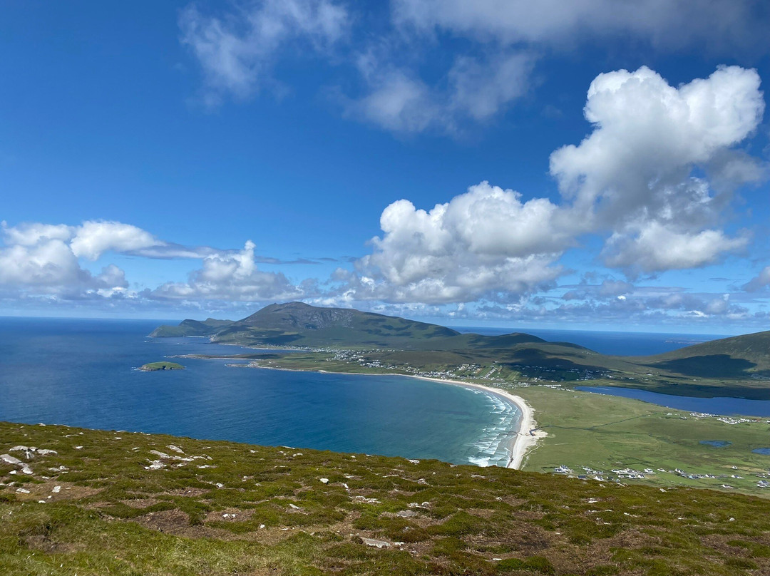 Joyce's Marian Villa Guesthouse主图