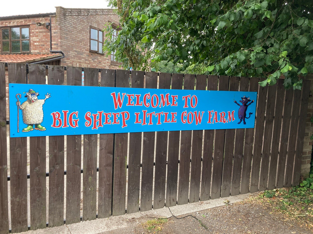 Big Sheep & Little Cow-Bedale必去景点