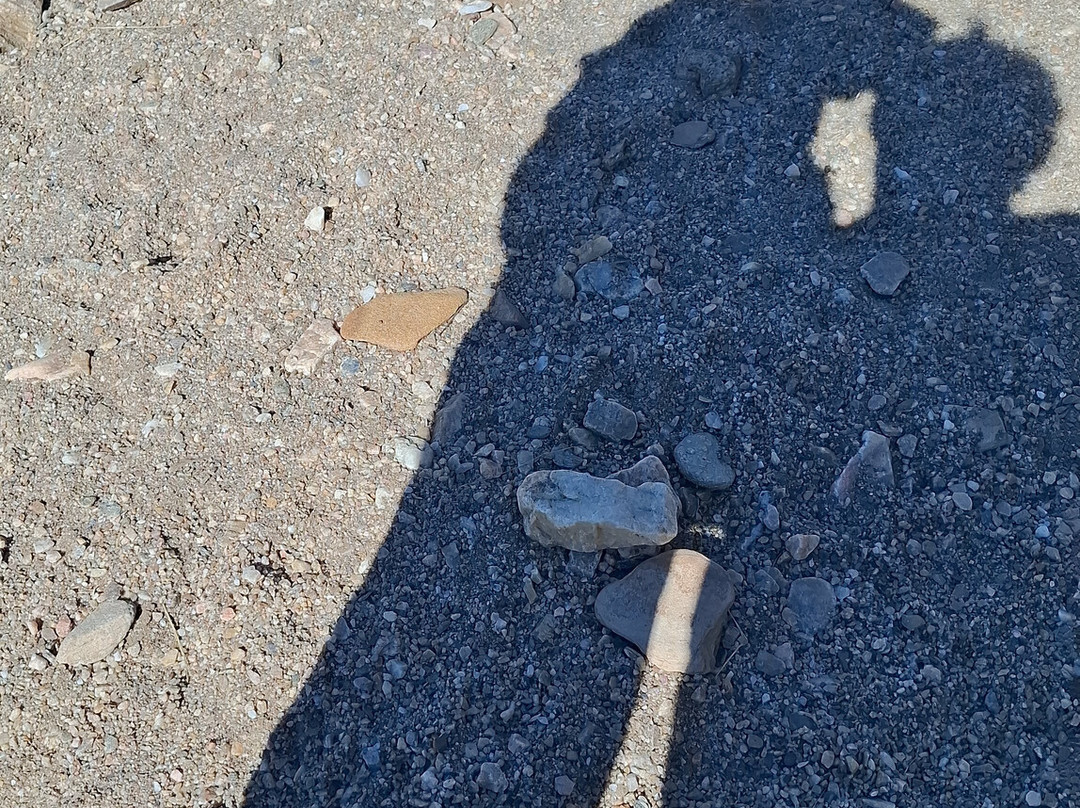 Avis Dam Nature Reserve-温德和克必去景点