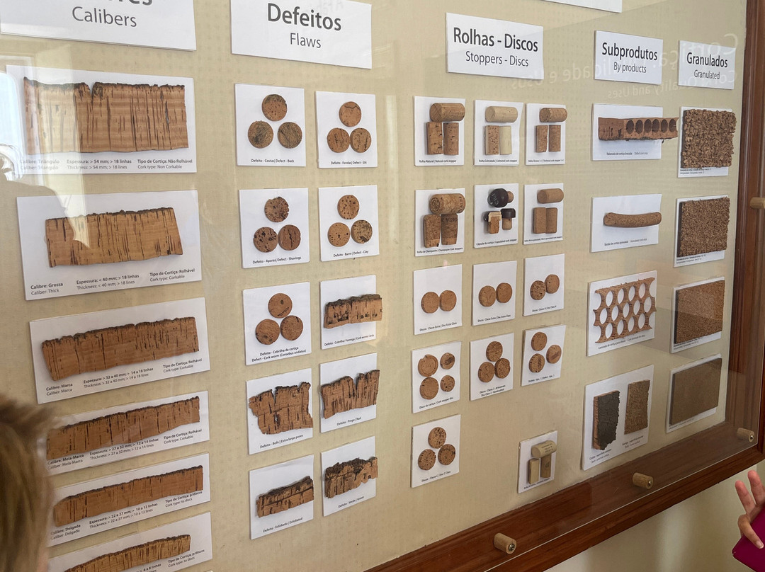 Casa do Montado-埃武拉必去景点