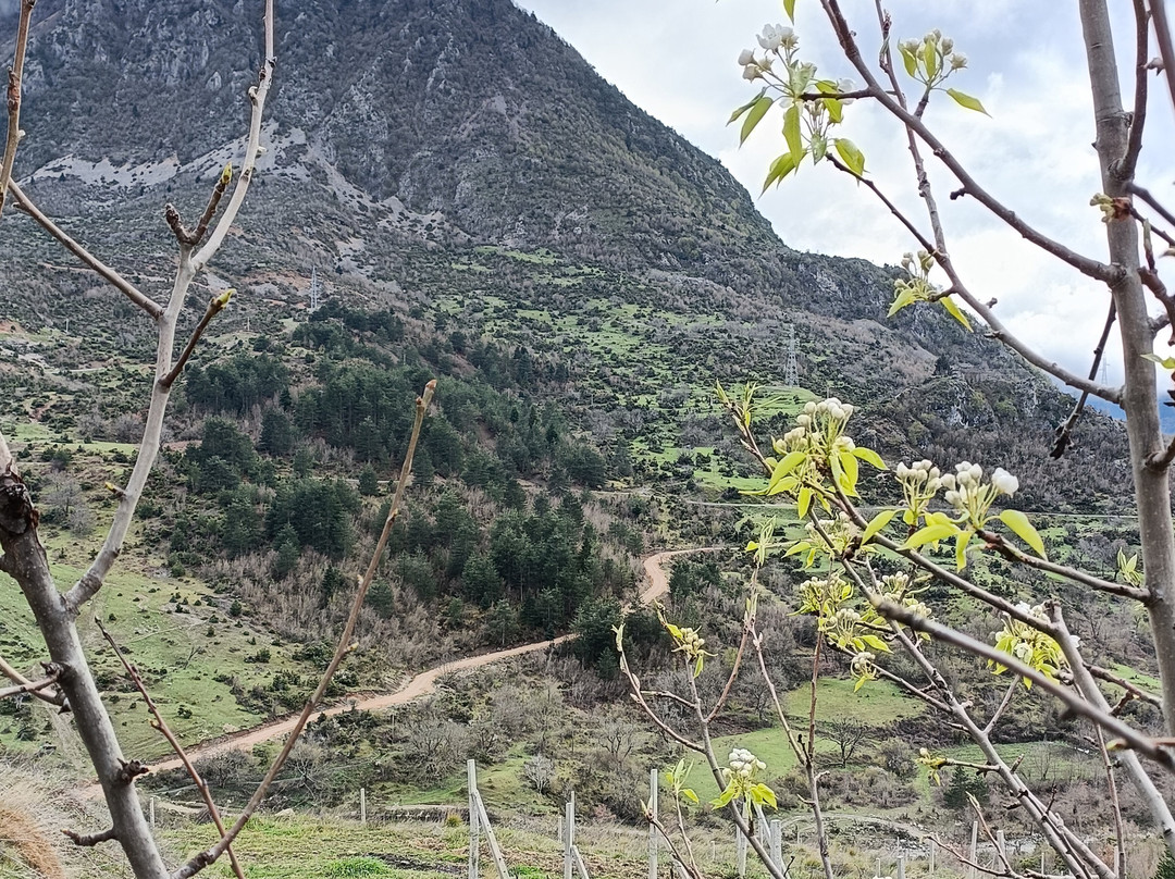 Max Mavrud - Winetour Experience-Leskovik必去景点