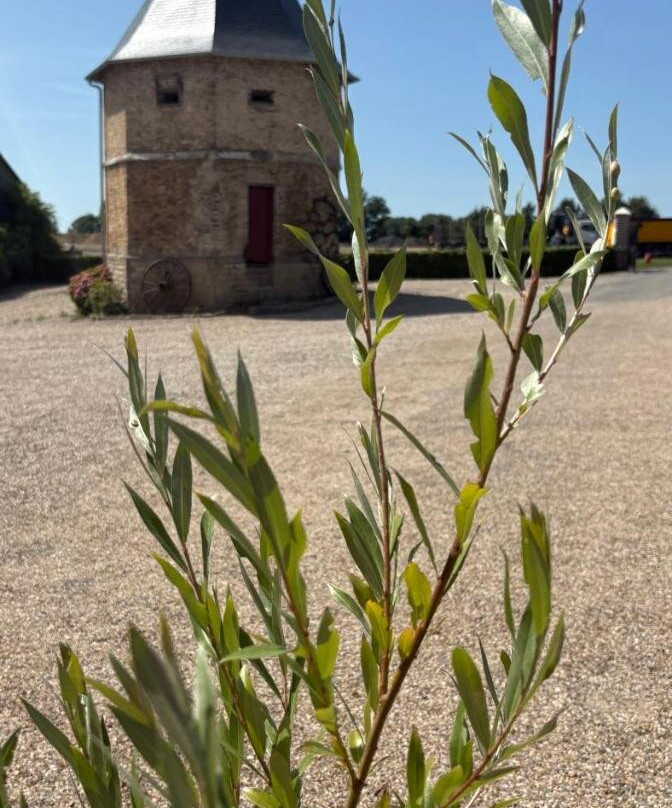Chambres D'Hotes a La Ferme