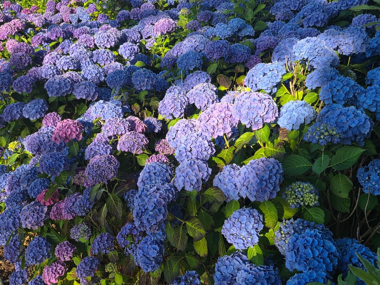 克斯坦酒店-官方