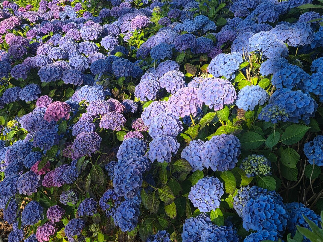 克斯坦酒店主图