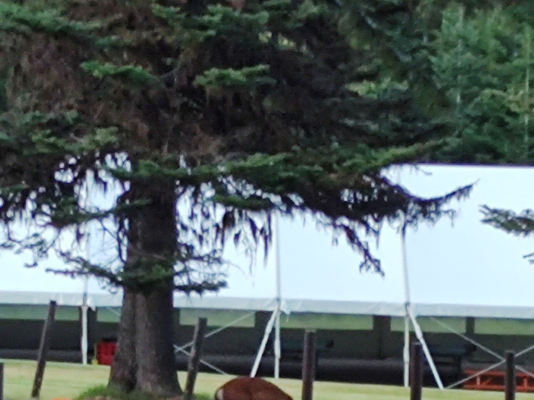 Cooper Spur Mountain Resort主图