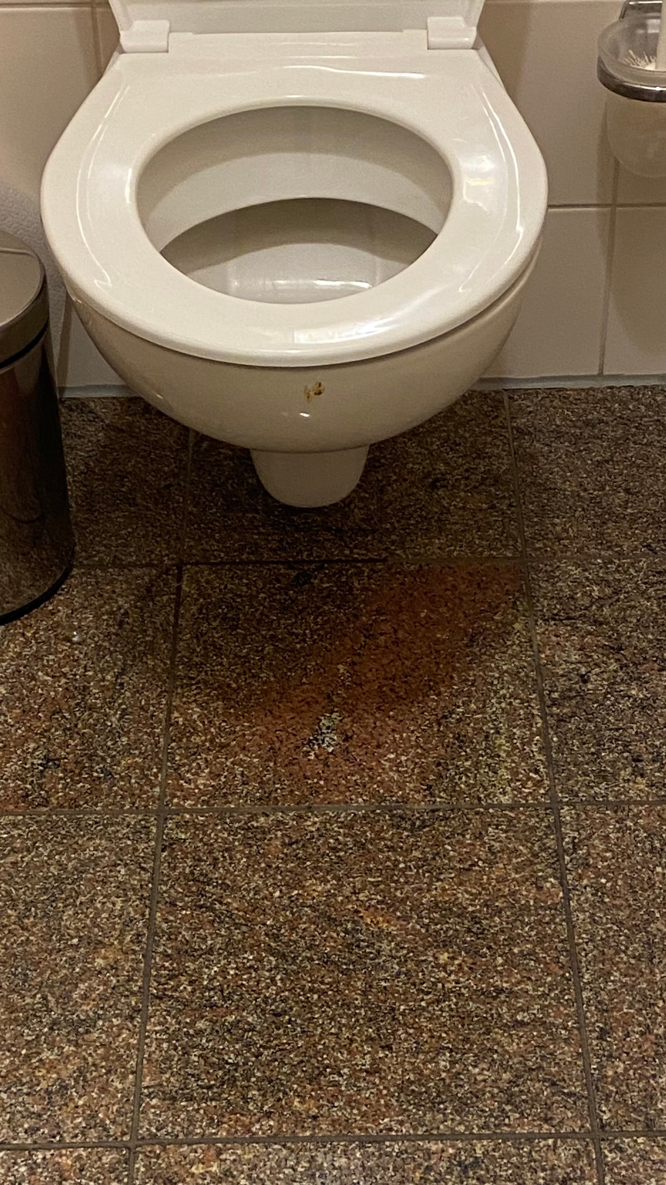 Hotel STEIGER Elbschlösschen-浴室