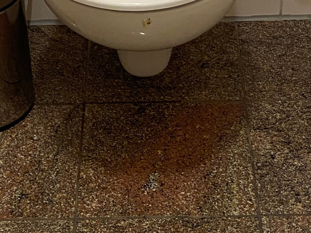 Hotel STEIGER Elbschlösschen主图