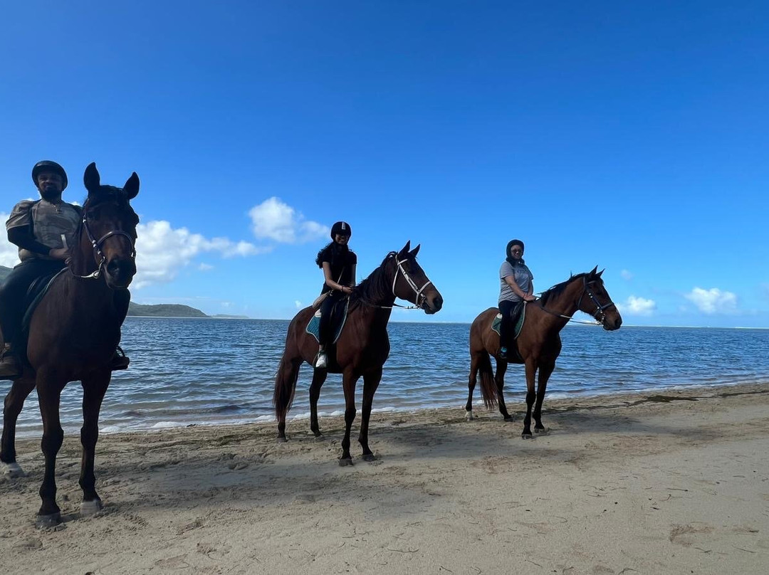 Haras Du Morne-莫纳山必去景点