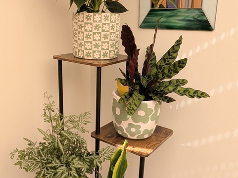 Wingham Country Market