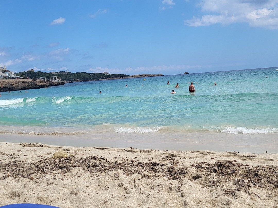 Platja de Son Moll-Cala Ratjada必去景点