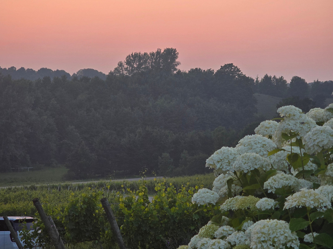 Blustone Vineyards-Lake Leelanau必去景点