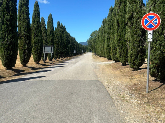 Poggio al Palio主图