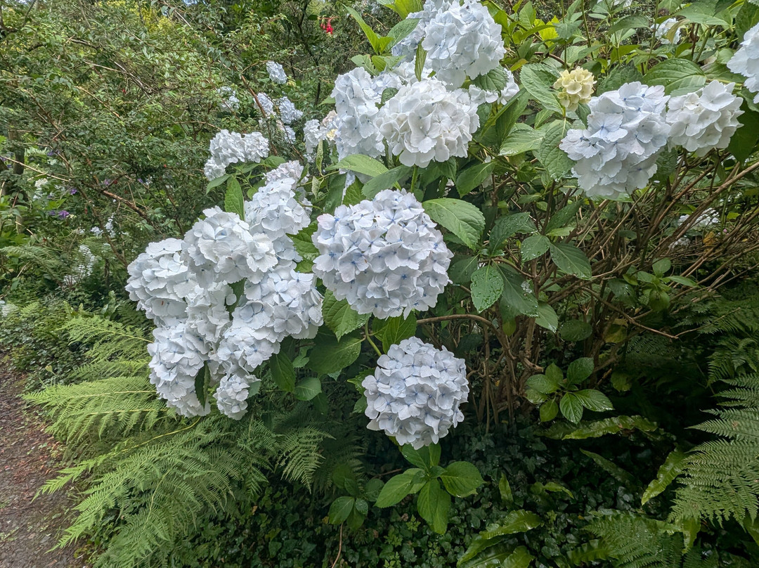 Hartland Abbey & Gardens-Stoke必去景点