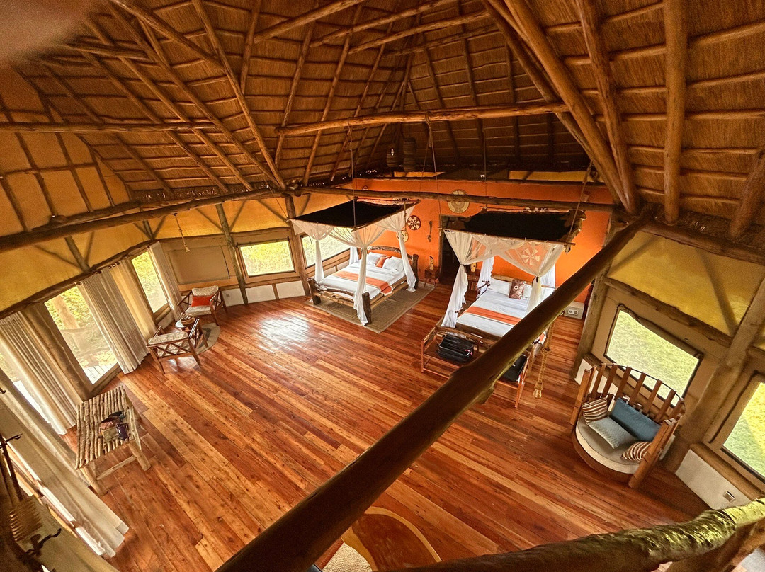 Aardvark Safari Lodge主图