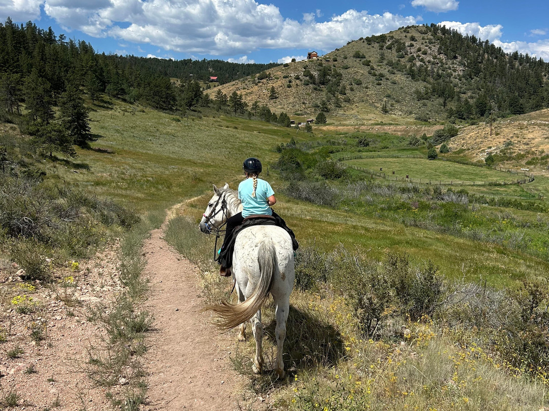 Tattered Saddle Stables At Gordon Creek-科林斯堡必去景点