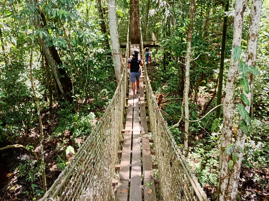 Zoo de Guyane-Macouria必去景点