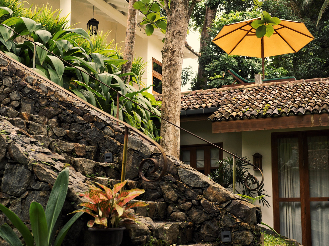 The Jungle Loft Galle主图