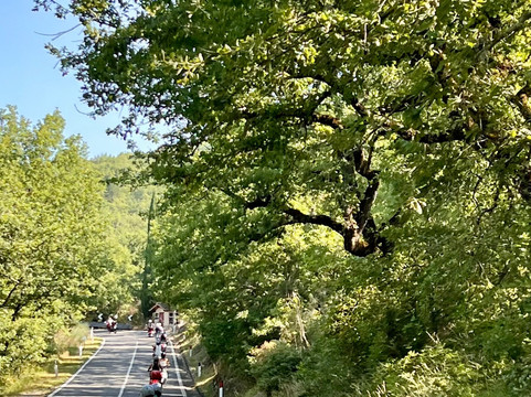 Bespoke Tuscany-佛罗伦萨必去景点