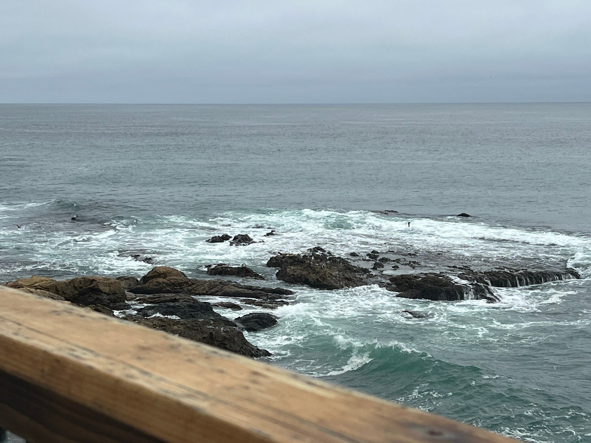 The Shelter Cove Oceanfront Inn-官方