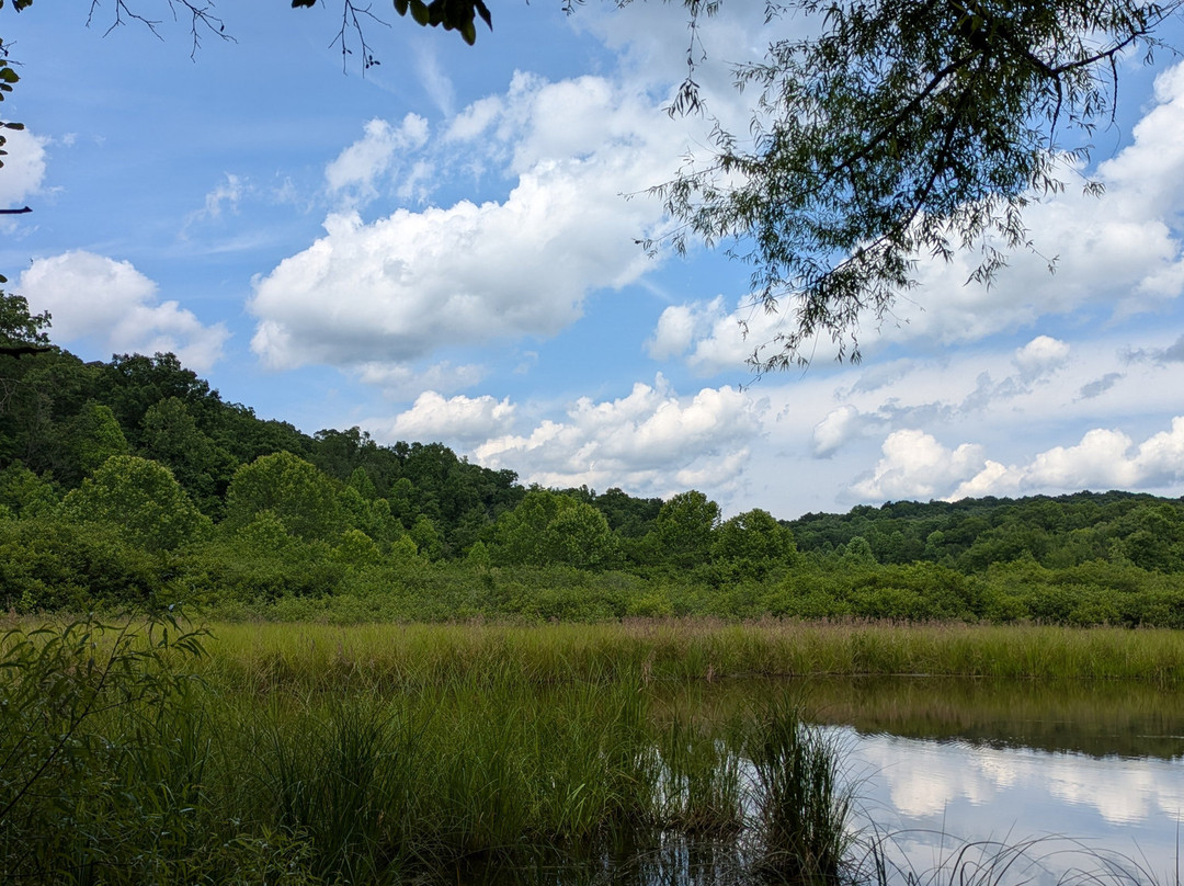West Virginia Botanic Garden-Cheat Lake必去景点