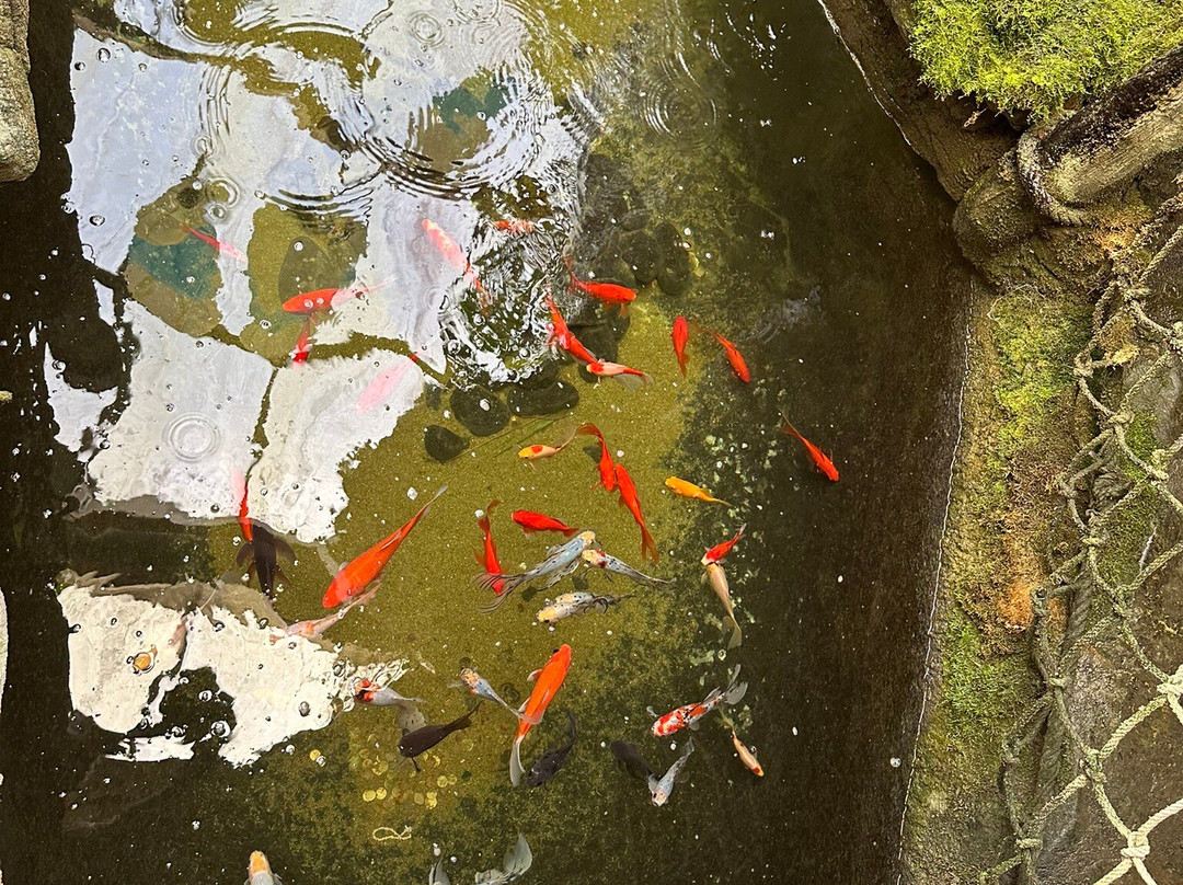 Aquarium d'Amneville-昂内维尔必去景点