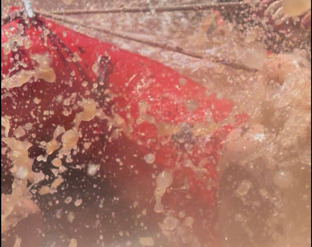 Shubie River Wranglers-舒贝纳卡迪必去景点