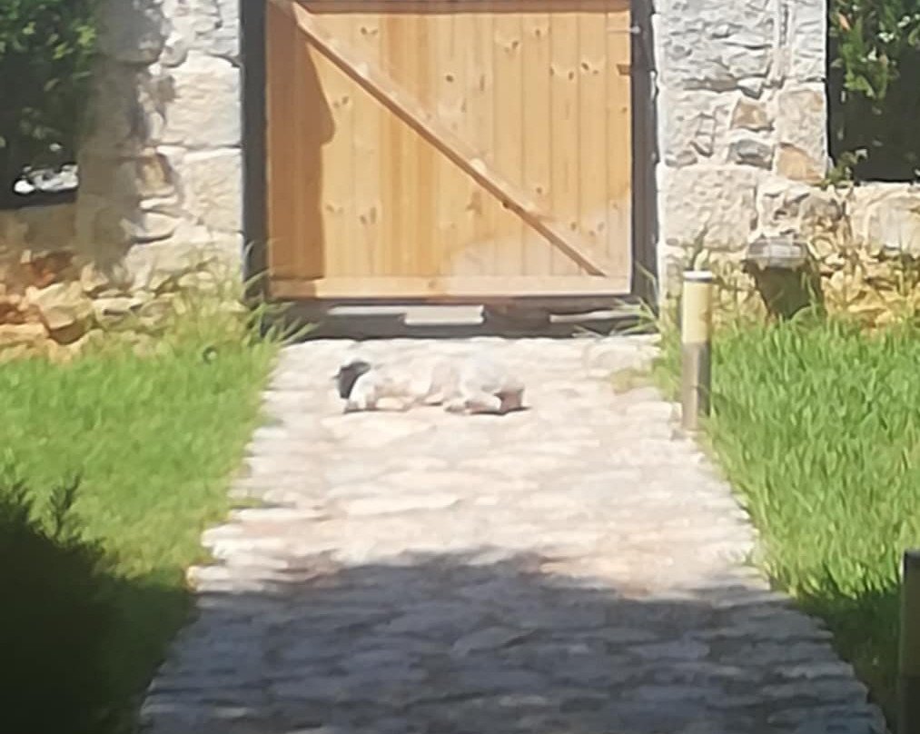 Achelatis Guest Houses主图