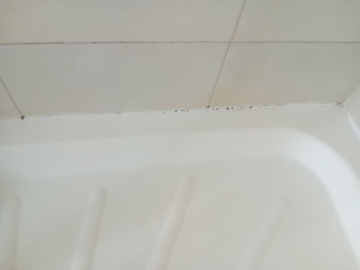 拉特斯卡格罗夫酒店-官方