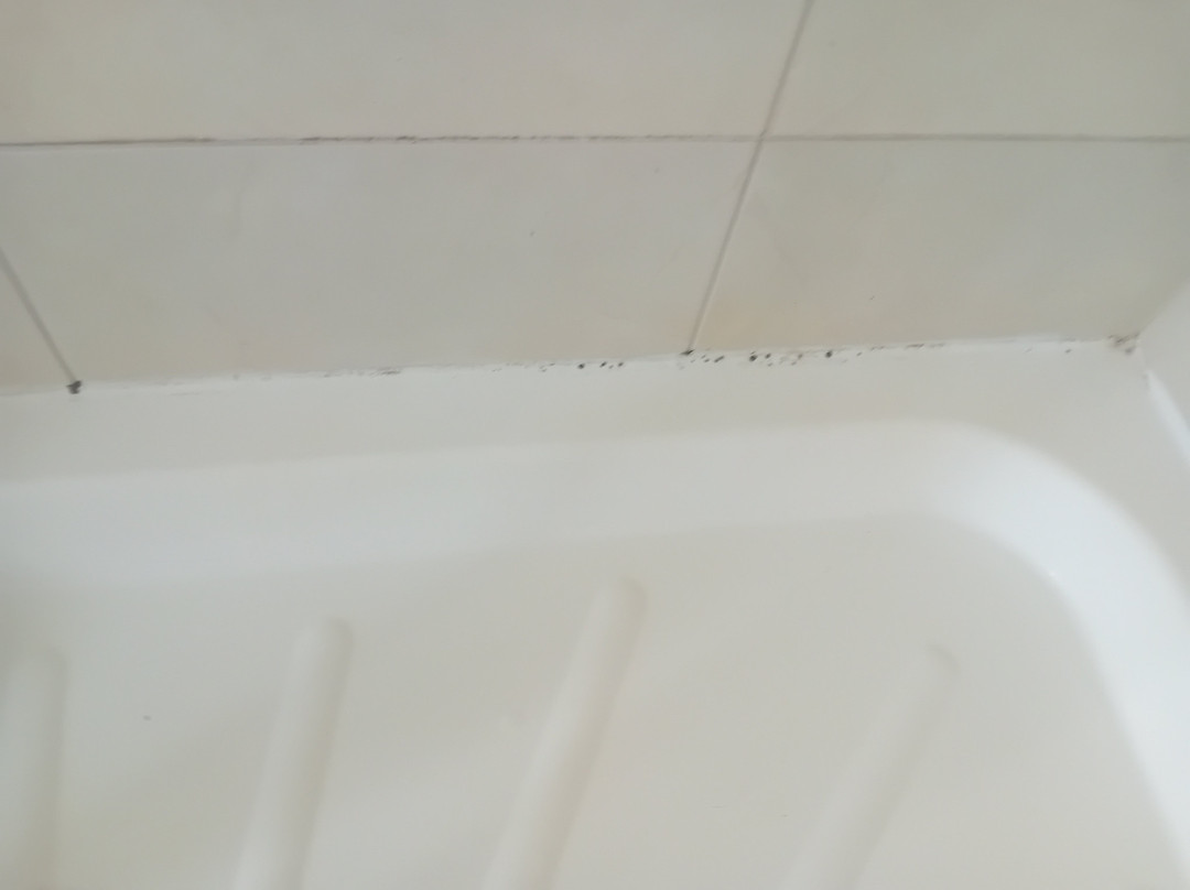 Rathescar Grove主图