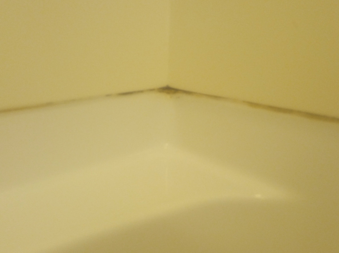 Essenhaus Inn & Conference Center主图