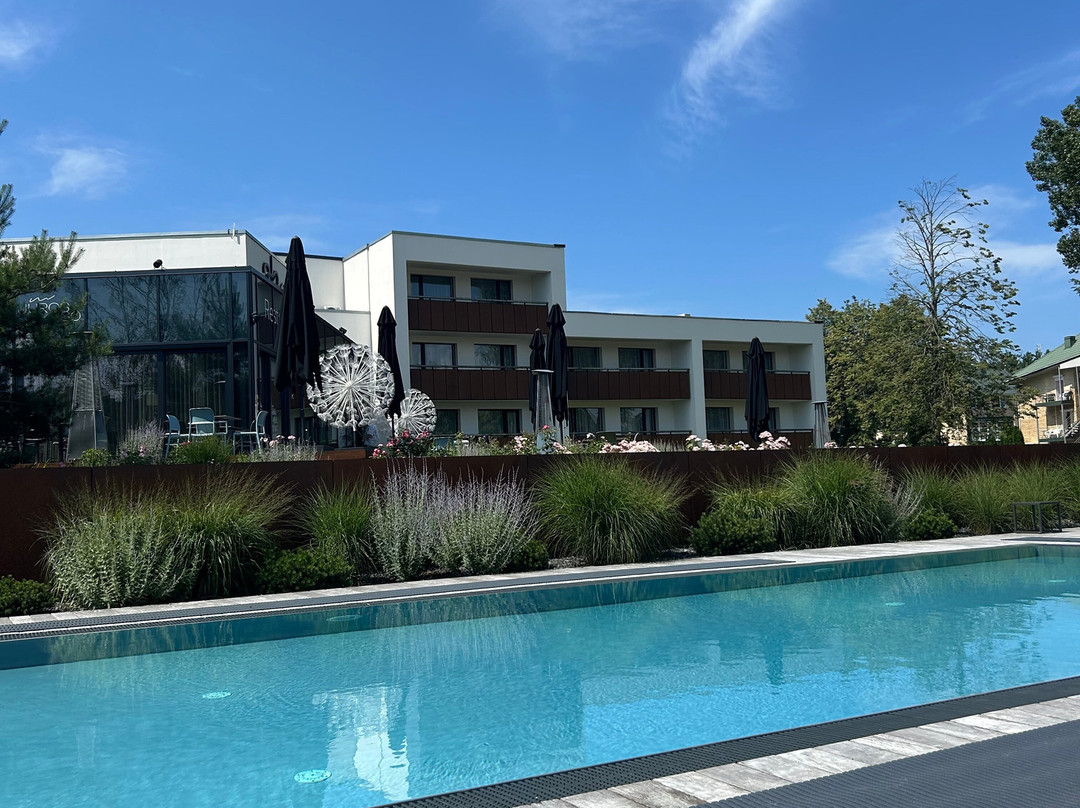 Auksinės Kopos主图