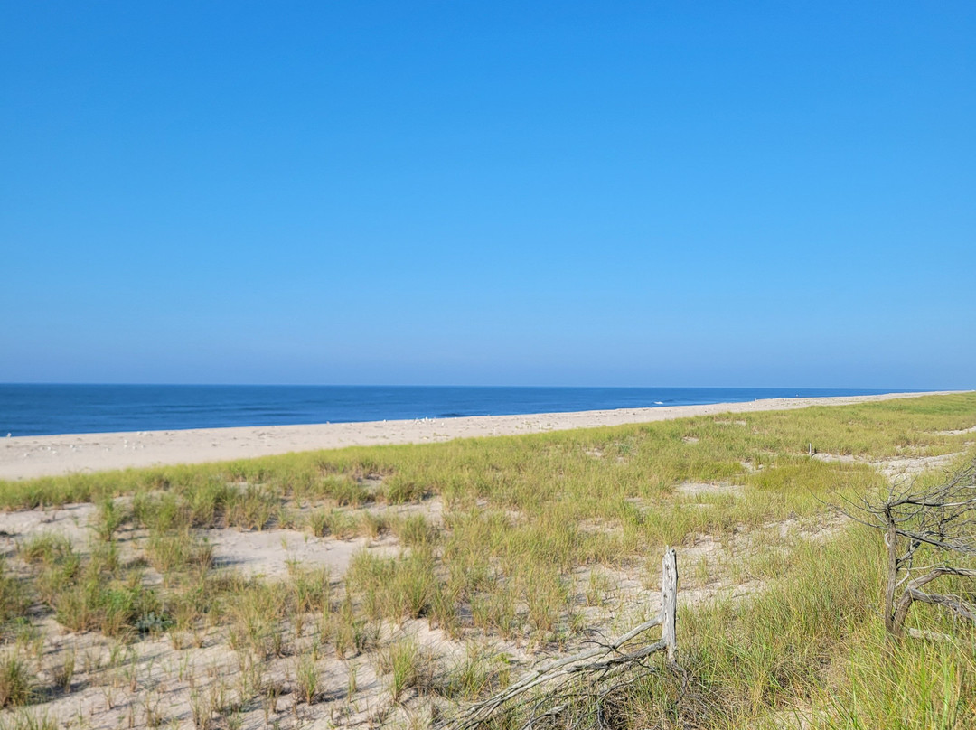 Belvedere Hotel主图