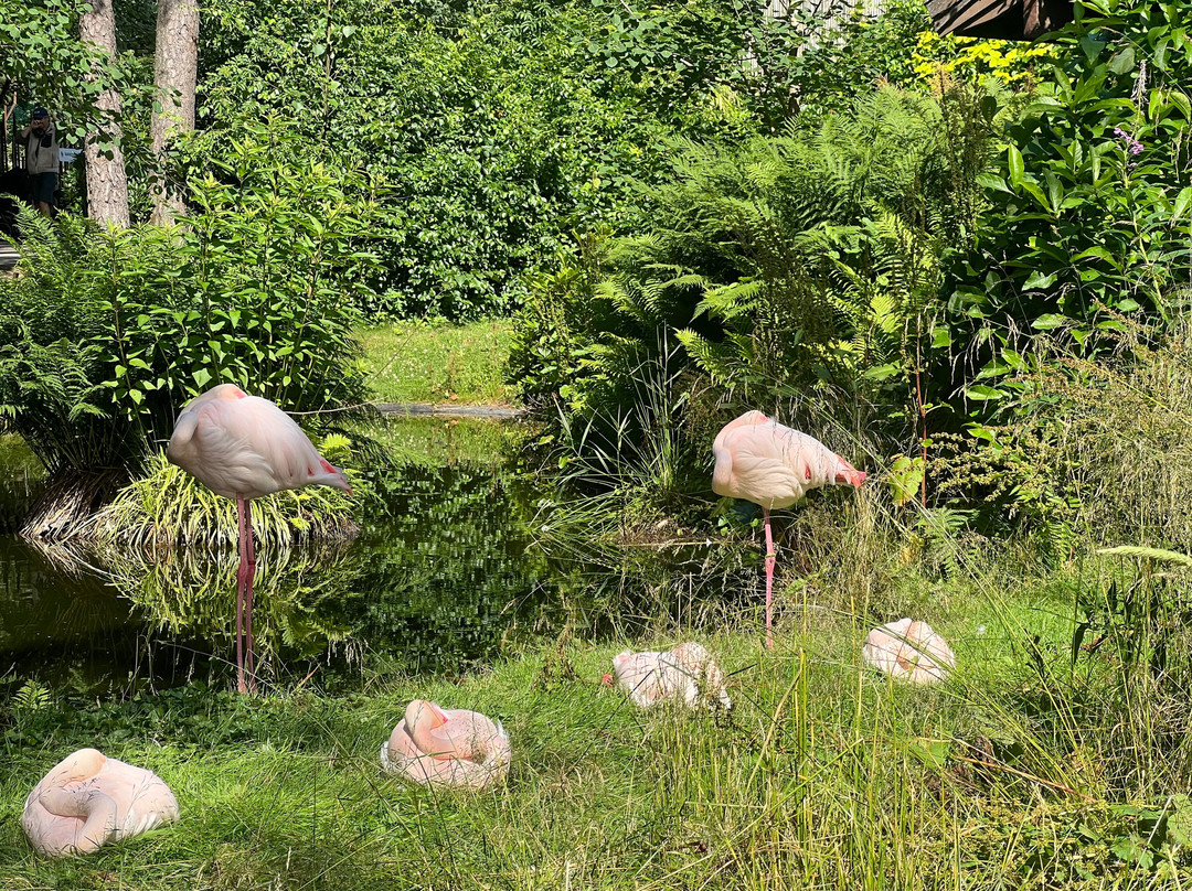 Dyreparken-克里斯蒂安桑必去景点