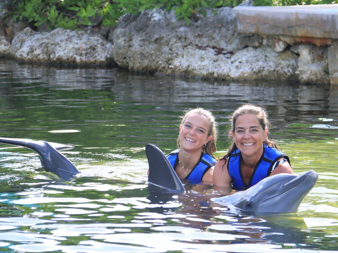 海豚商店-基拉戈-拉哥岛必去景点