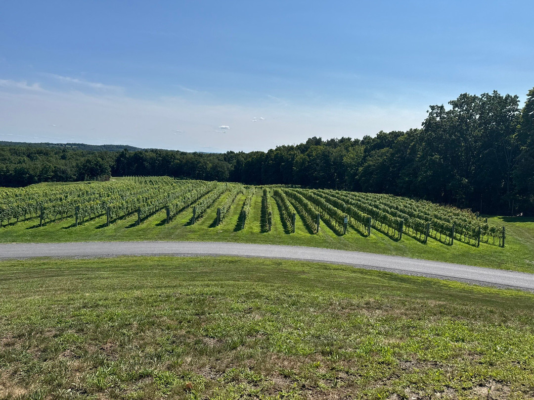 Milea Estate Vineyard-Staatsburg必去景点