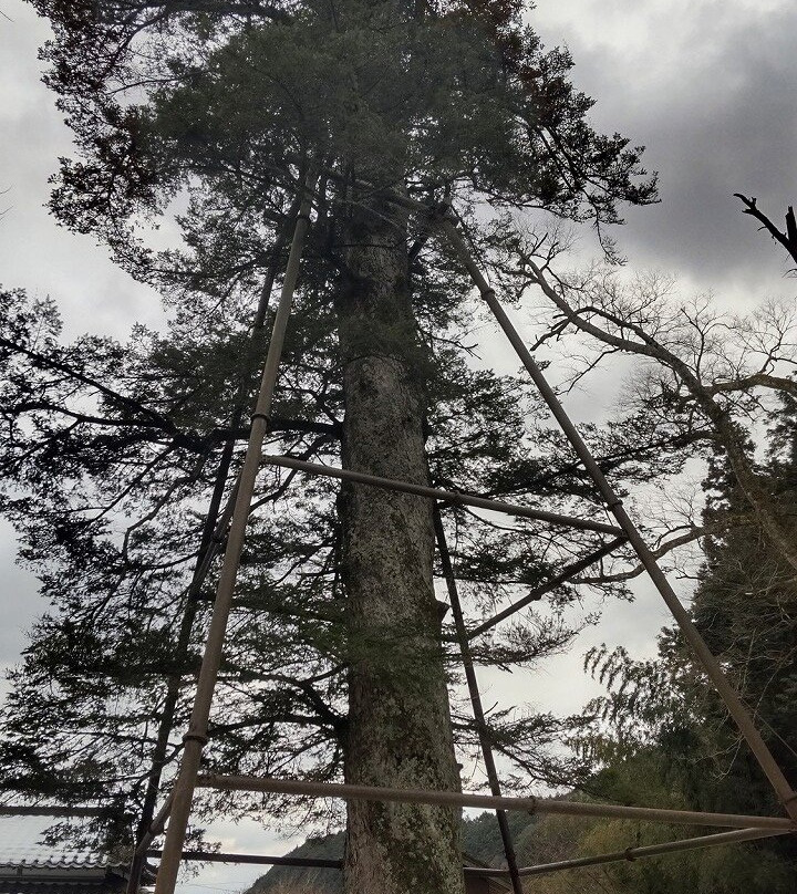 Otte Shrine-丹波篠山必去景点