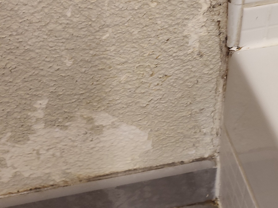 钟楼杰雷酒店主图