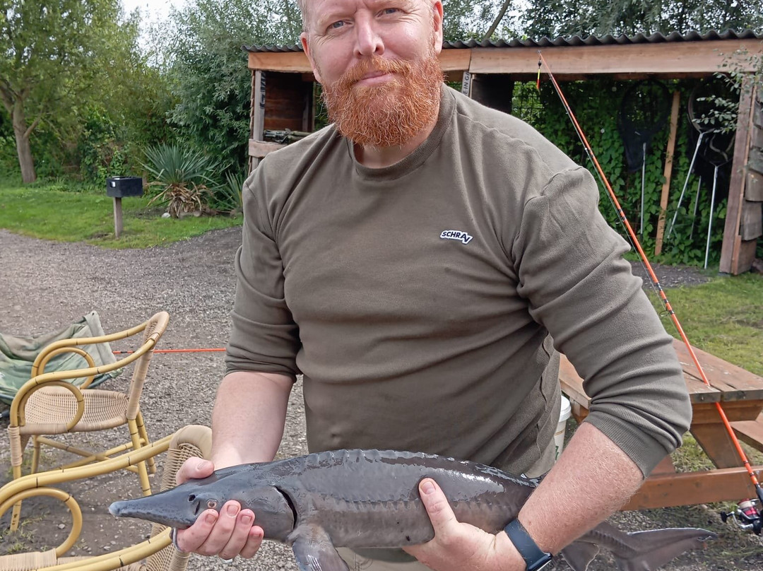 Vispark Toms Creek-莱利斯塔德必去景点