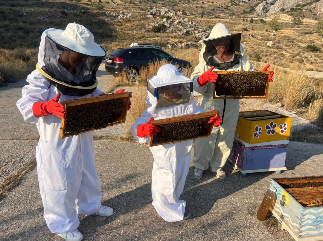 So! Bee-纳夫普利翁必去景点