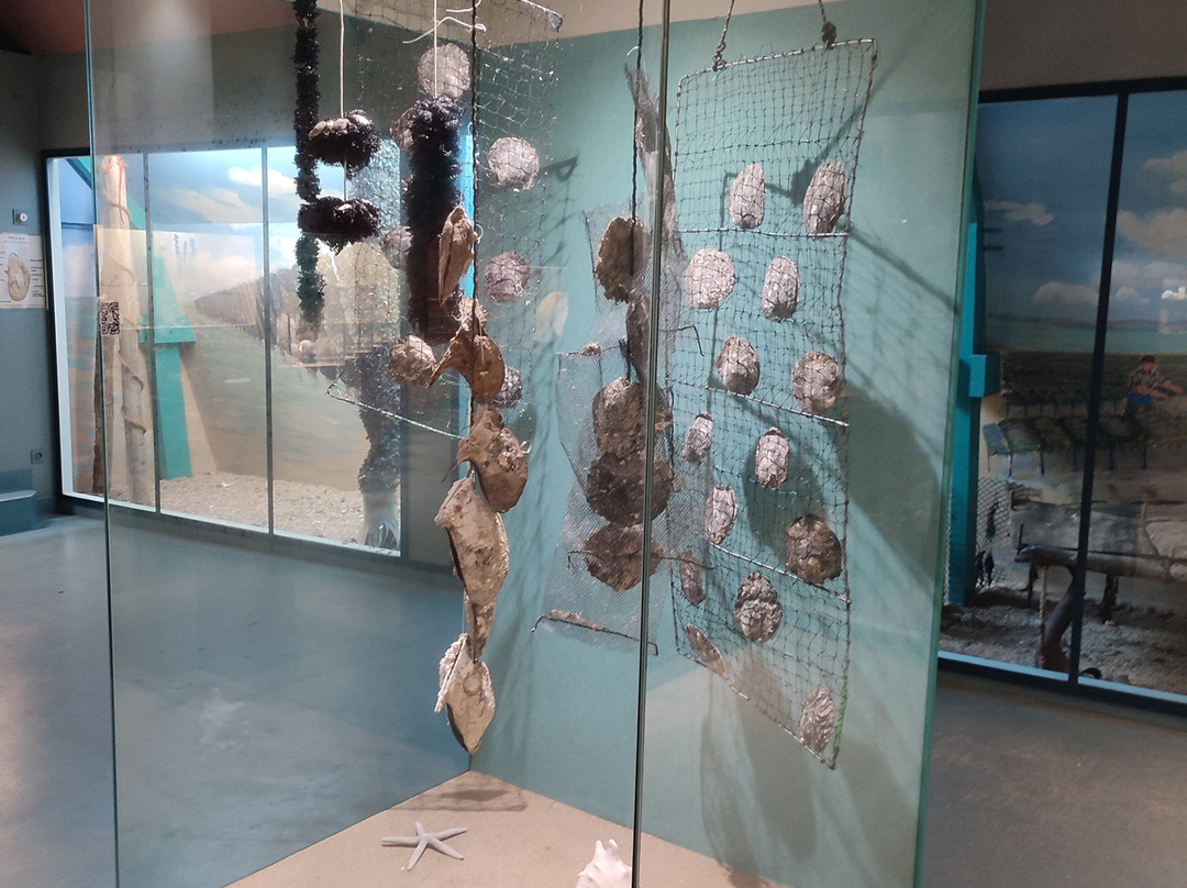 La Ferme Marine-康卡勒必去景点