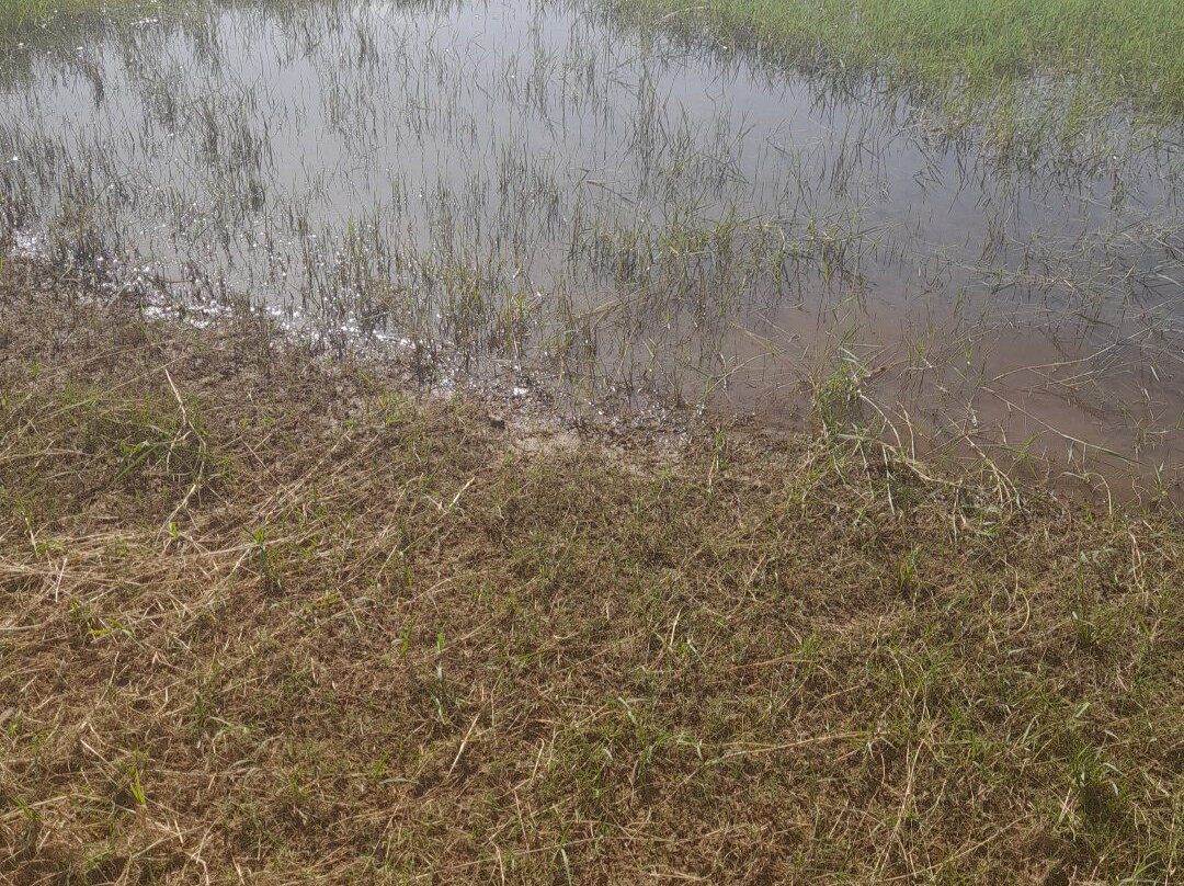 Playa de Cheles-Cheles必去景点