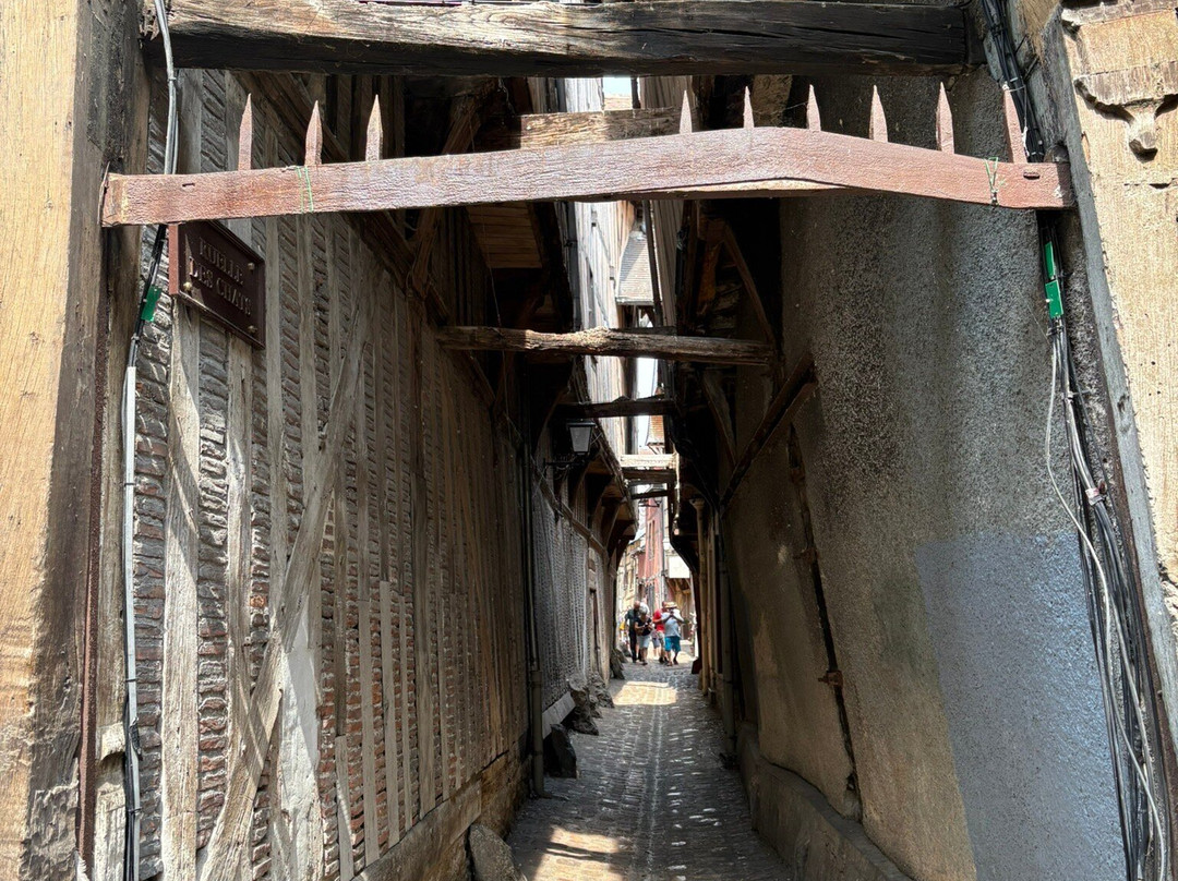 Ruelle des Chats-特鲁瓦必去景点