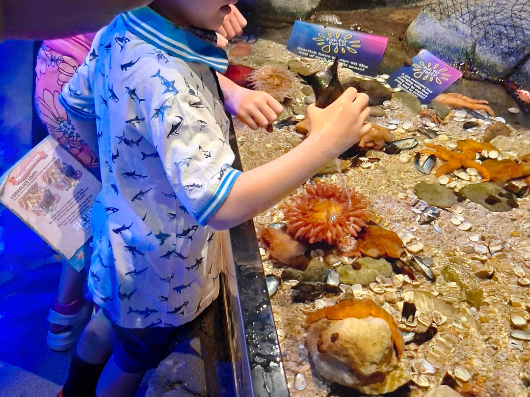 SEA LIFE Hunstanton-Hunstanton必去景点