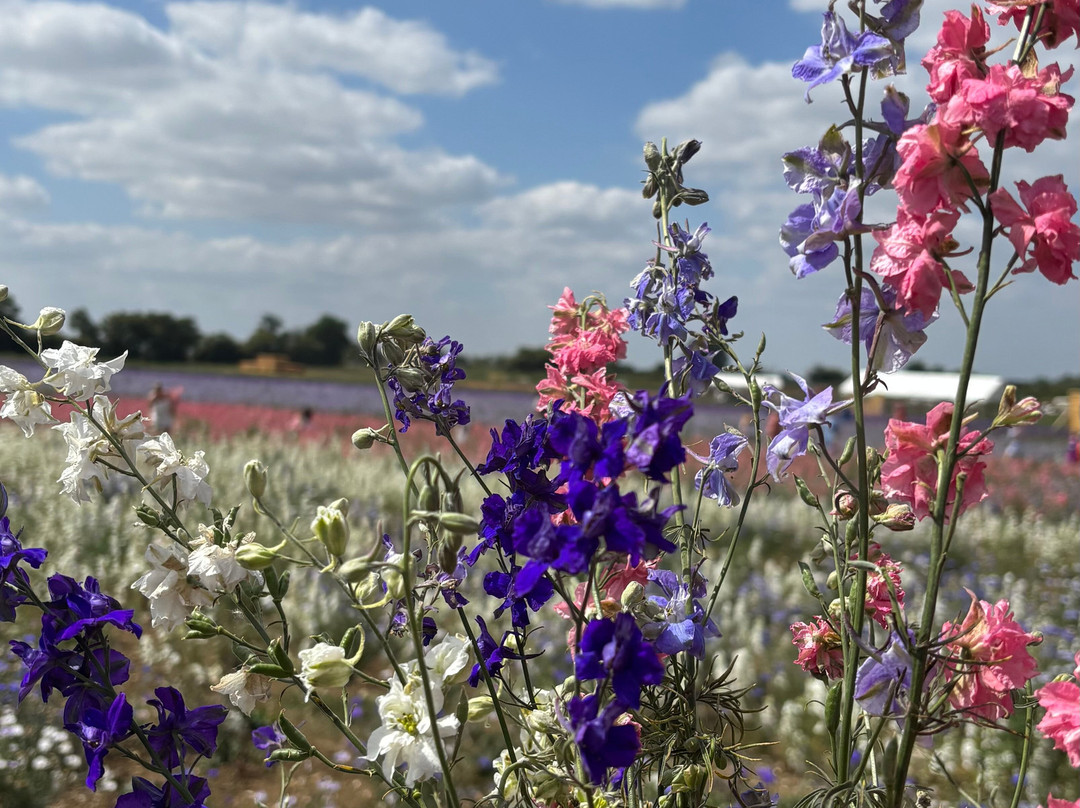 Hatter's Farm-Bishops Stortford必去景点
